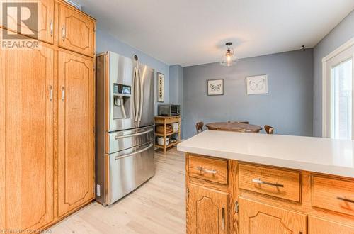 113 Jansen Avenue, Kitchener, ON - Indoor Photo Showing Kitchen