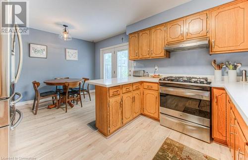 113 Jansen Avenue, Kitchener, ON - Indoor Photo Showing Kitchen