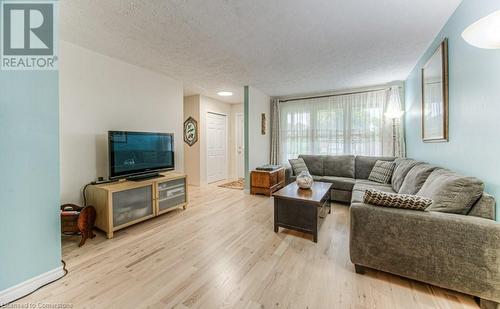 113 Jansen Avenue, Kitchener, ON - Indoor Photo Showing Living Room