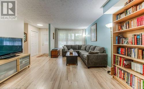 113 Jansen Avenue, Kitchener, ON - Indoor Photo Showing Living Room