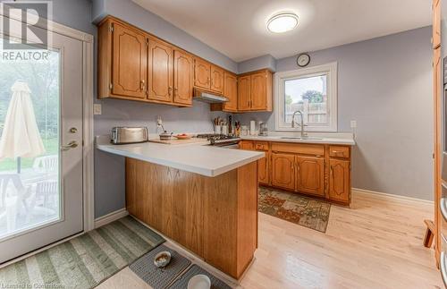 113 Jansen Avenue, Kitchener, ON - Indoor Photo Showing Kitchen