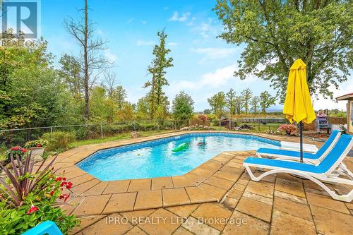 5636 Bell School Line, Burlington, ON - Outdoor With In Ground Pool With Backyard