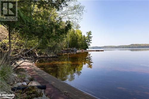 Family Friendly Shoreline - 200 Edgemere Road E, Port Sydney, ON - Outdoor With Body Of Water With View