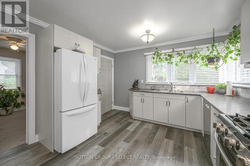 358 Dieppe Street, London, ON - Indoor Photo Showing Kitchen With Double Sink