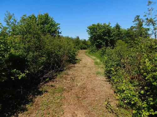 Lot 14 Elderberry Drive, Malagash Point, NS 