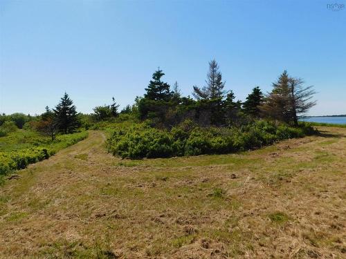 Lot 14 Elderberry Drive, Malagash Point, NS 