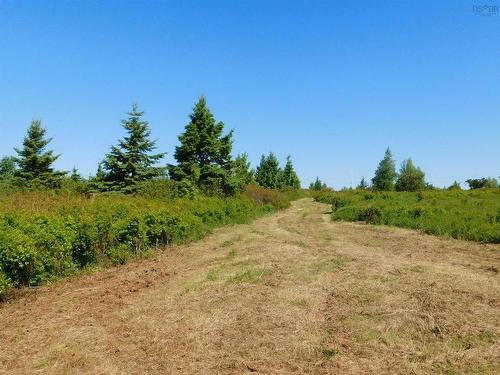 Lot 5 Elderberry Drive, Malagash Point, NS 