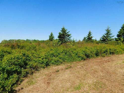 Lot 5 Elderberry Drive, Malagash Point, NS 