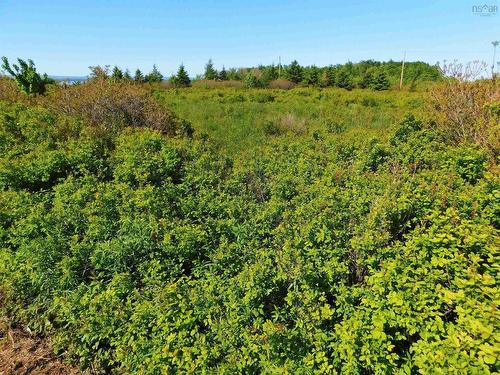 Lot 5 Elderberry Drive, Malagash Point, NS 