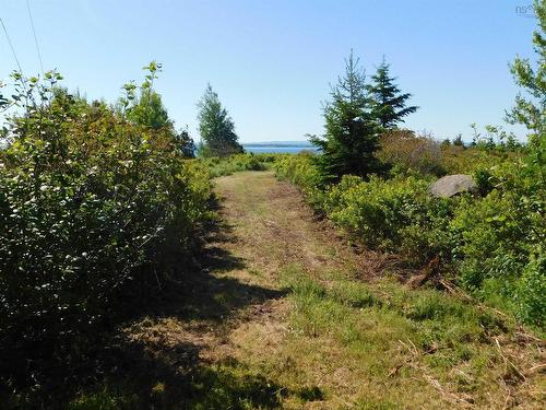 Lot 5 Elderberry Drive, Malagash Point, NS 