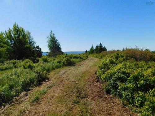 Lot 5 Elderberry Drive, Malagash Point, NS 