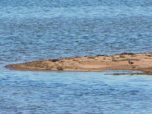 Purdy Island, Malagash Point, NS 