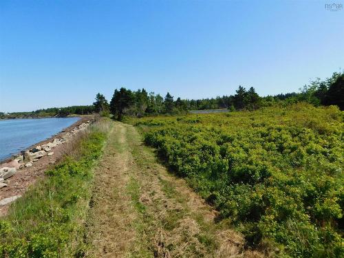 Purdy Island, Malagash Point, NS 