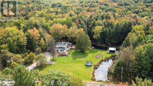 3461 Hwy 141, Utterson, ON - Outdoor With View