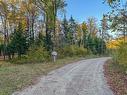 Land/Lot - Ch. De La Petite-Rivière, Harrington, QC 