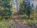 Land/Lot - Ch. De La Petite-Rivière, Harrington, QC 