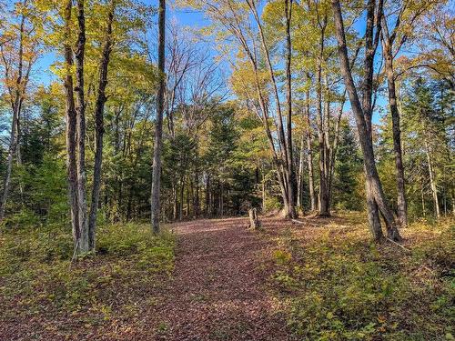 Land/Lot - Ch. De La Petite-Rivière, Harrington, QC 