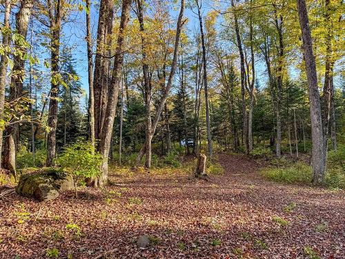 Land/Lot - Ch. De La Petite-Rivière, Harrington, QC 