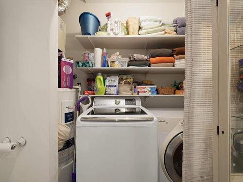 Salle de lavage - C2-50 Rue Lower Maple, Hudson, QC - Indoor Photo Showing Laundry Room