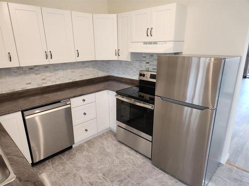 313 Vickers Street N, Thunder Bay, ON - Indoor Photo Showing Kitchen