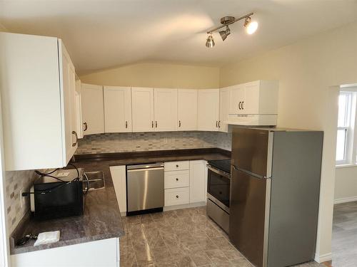 313 Vickers Street N, Thunder Bay, ON - Indoor Photo Showing Kitchen