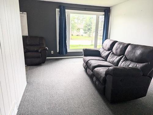 110 Parkdale Road, Dryden, ON - Indoor Photo Showing Living Room