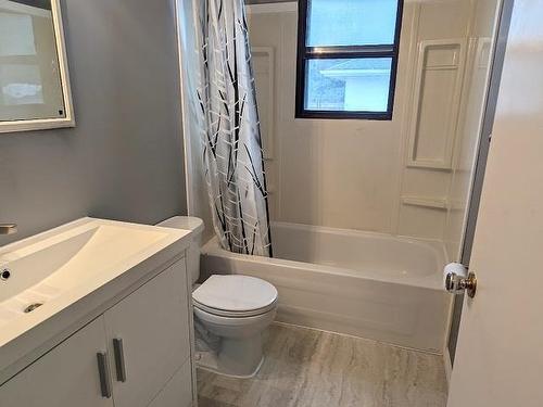 110 Parkdale Road, Dryden, ON - Indoor Photo Showing Bathroom