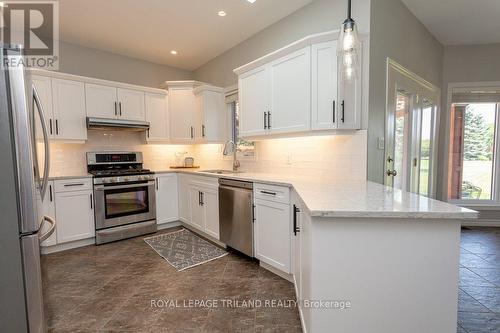 16 Guest Lane, Thames Centre (Mossley), ON - Indoor Photo Showing Kitchen With Upgraded Kitchen