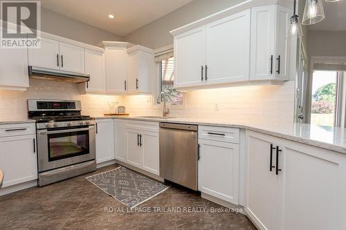 16 Guest Lane, Thames Centre (Mossley), ON - Indoor Photo Showing Kitchen With Upgraded Kitchen