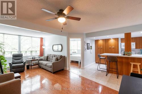 202 - 7 Picton Street, London, ON - Indoor Photo Showing Living Room