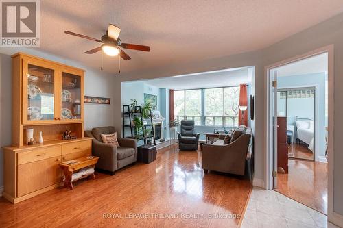 202 - 7 Picton Street, London, ON - Indoor Photo Showing Living Room