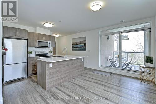 308 - 455 Charlton Avenue E, Hamilton, ON - Indoor Photo Showing Kitchen With Stainless Steel Kitchen