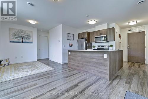 308 - 455 Charlton Avenue E, Hamilton, ON - Indoor Photo Showing Kitchen