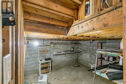 345 Mcewan, Windsor, ON - Indoor Photo Showing Basement