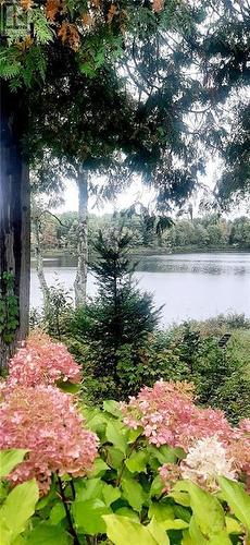 Early fall view of lake. - 324 Rantz Road, Petawawa, ON - Outdoor With Body Of Water With View