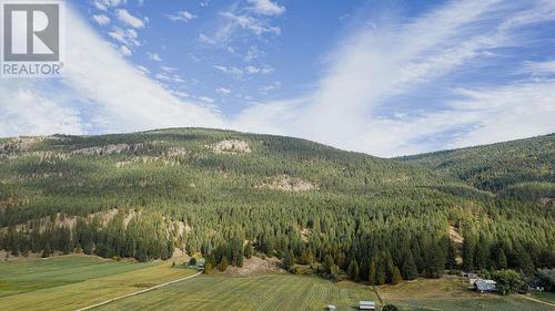 1404 Salmon River Road, Salmon Arm, BC - Outdoor With View