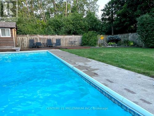 139 Elgin Drive, Brampton, ON - Outdoor With In Ground Pool With Backyard