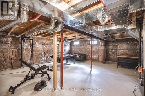 109 Sunflower Crescent, Thorold, ON - Indoor Photo Showing Basement