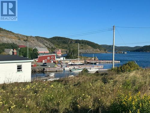 16 Clinch'S Lane, Trinity, NL 