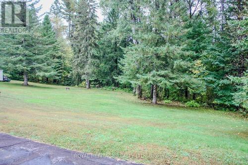 38 Bay Ridge Road, Hastings Highlands, ON - Outdoor