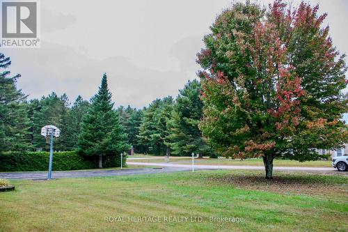 38 Bay Ridge Road, Hastings Highlands, ON - Outdoor With View