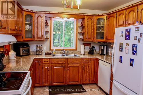 38 Bay Ridge Road, Hastings Highlands, ON - Indoor Photo Showing Kitchen With Double Sink