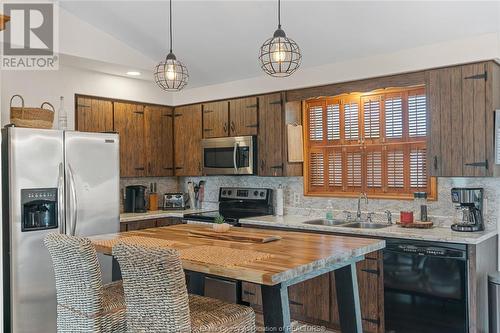 8831 Concession 8, Amherstburg, ON - Indoor Photo Showing Kitchen With Fireplace With Double Sink