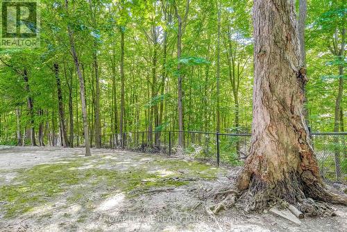 201 - 2030 Cleaver Avenue, Burlington, ON - Outdoor With View