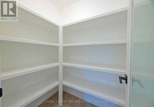 24 Silverleaf Path, St. Thomas, ON - Indoor With Storage