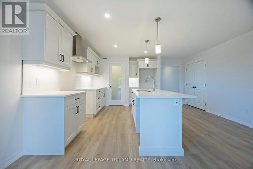 24 Silverleaf Path, St. Thomas, ON - Indoor Photo Showing Kitchen With Upgraded Kitchen