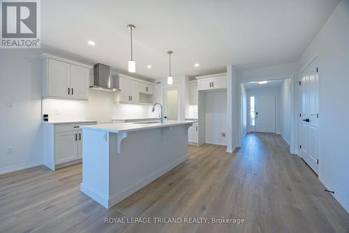 24 Silverleaf Path, St. Thomas, ON - Indoor Photo Showing Kitchen With Upgraded Kitchen