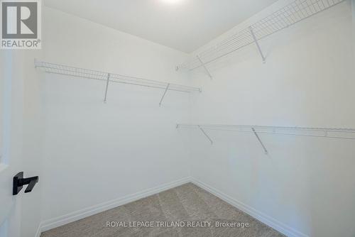 24 Silverleaf Path, St. Thomas, ON - Indoor With Storage