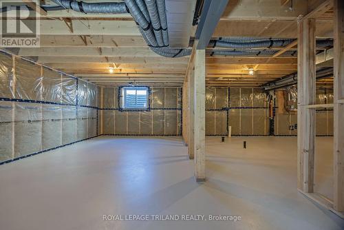 24 Silverleaf Path, St. Thomas, ON - Indoor Photo Showing Basement