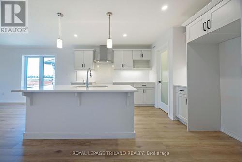 24 Silverleaf Path, St. Thomas, ON - Indoor Photo Showing Kitchen With Upgraded Kitchen